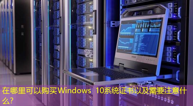 在哪里可以購買Windows 10系統(tǒng)證書以及需要注意什么？