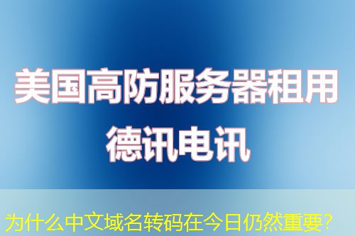 為什么中文域名轉(zhuǎn)碼在今日仍然重要？